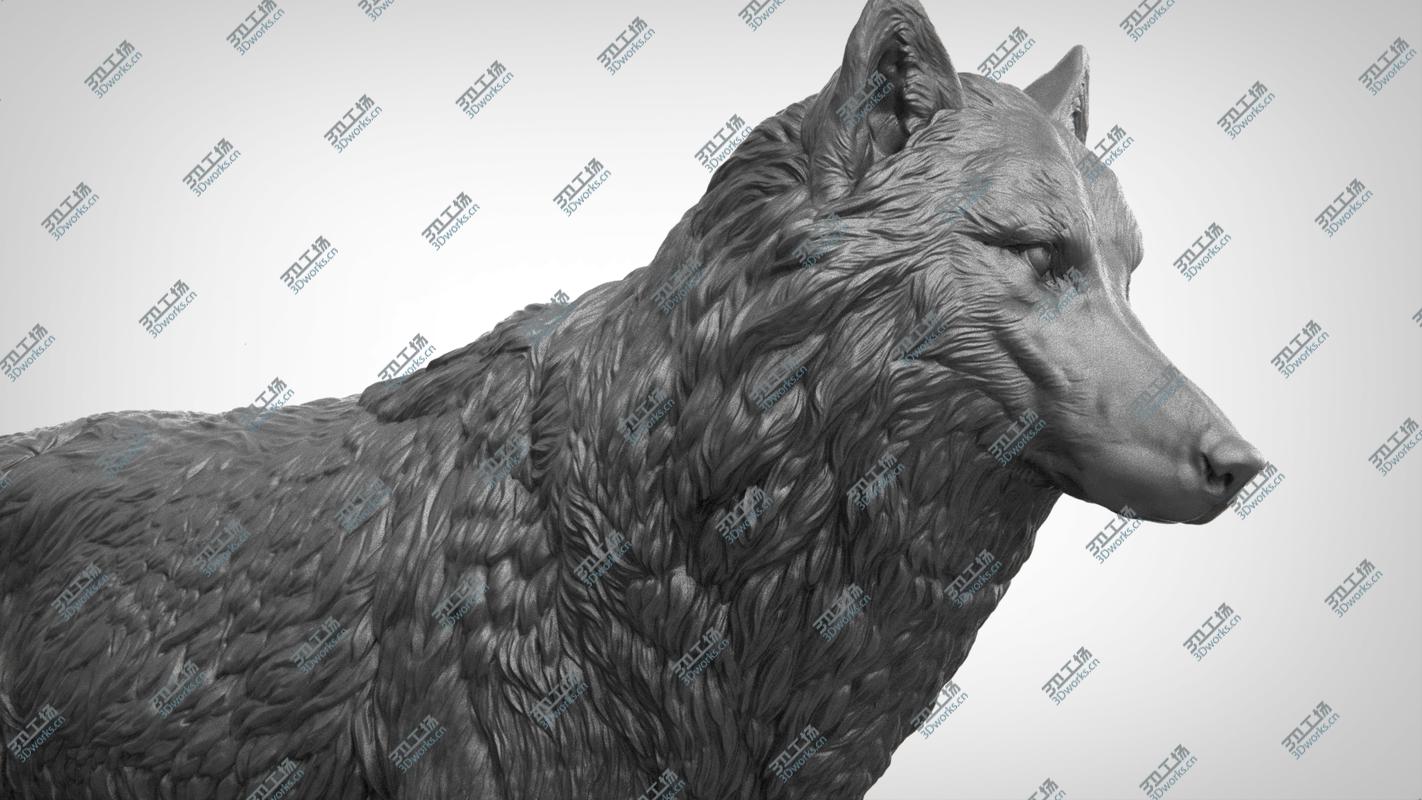images/goods_img/2021040165/Wolf 3D model/3.jpg